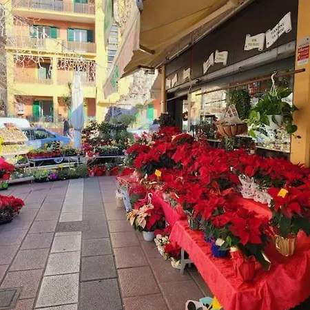 Happy - Vista Mare *